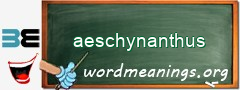 WordMeaning blackboard for aeschynanthus